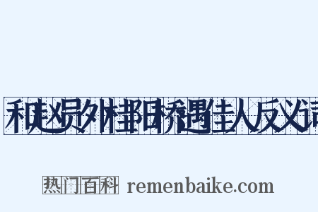 和赵员外桂阳桥遇佳人反义词是什么意思的图片